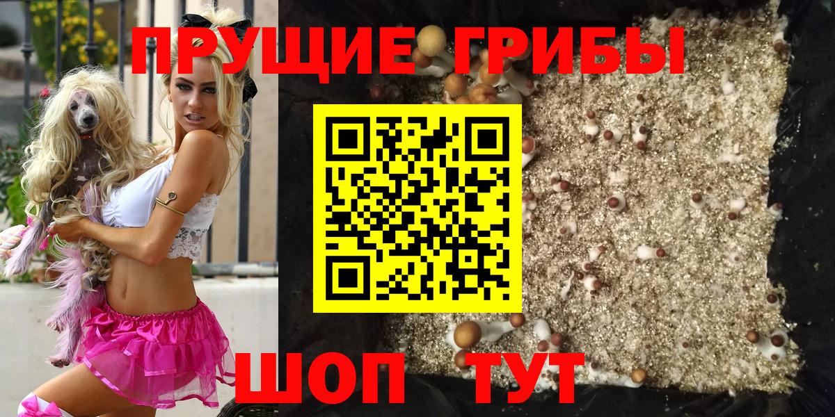 Псилоцибиновые грибы Cubensis Заинск